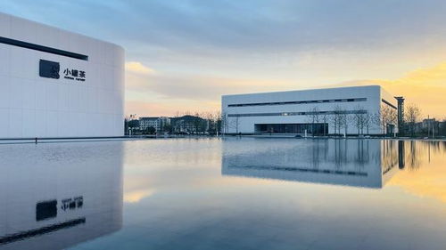 跨越時(shí)空的茶 文化名片走向世界 助力鄉(xiāng)村振興與項(xiàng)目經(jīng)營(yíng)