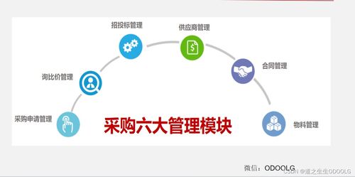 優(yōu)秀采購(gòu)管理的七大核心流程與模塊 一張圖掌握所有干貨（含高風(fēng)險(xiǎn)運(yùn)動(dòng)項(xiàng)目專項(xiàng)解析）