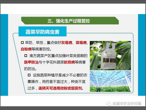 新型冠狀病毒感染肺炎疫情防控期間農(nóng)產(chǎn)品生產(chǎn)經(jīng)營(yíng)者質(zhì)量安全操作指南